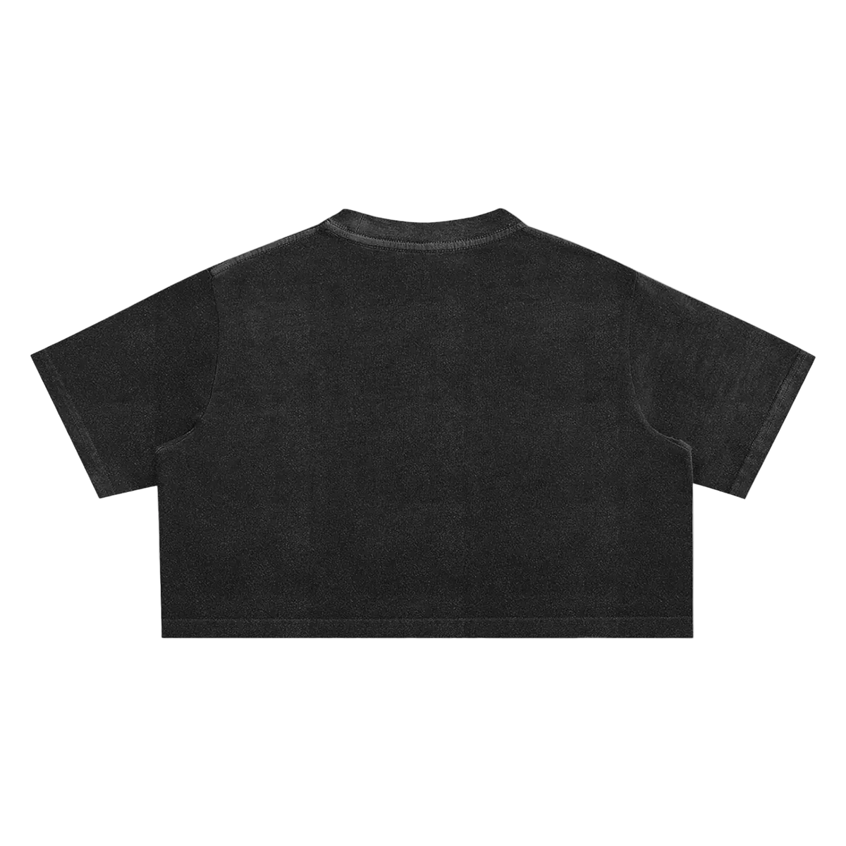 Snow Washed Crop Top ODMPOD